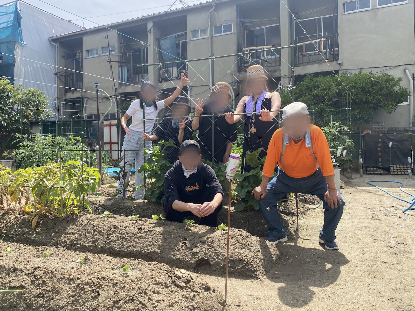 不定期で畑の収穫 写真1